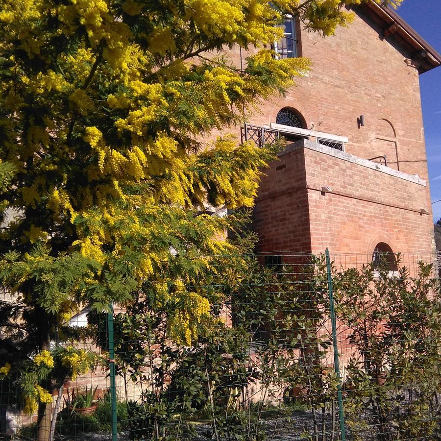 Bed and Breakfast L'Albero Di Gamelì Chiusi Exterior foto